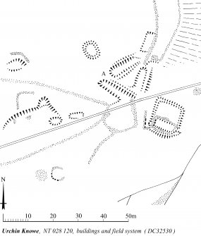 Publication drawing; Plan of Urchin Knowe buildings and field-system.