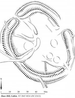 Publication drawing; Plan of Shaw Hill, Calkin settlement.