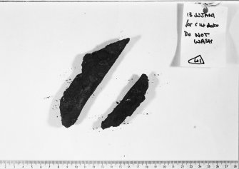 Excavation photograph : small finds - charcoal?