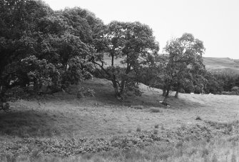 View of broch mound.