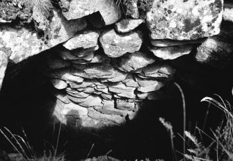 Looking down into guard cell.