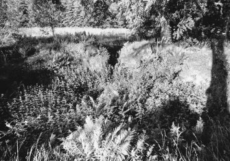 Stair-foot cell and doorway.