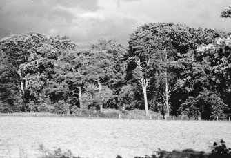 Distant view from the road.