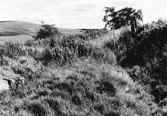 Outer wall-face bank and ditch beyond on WSW.