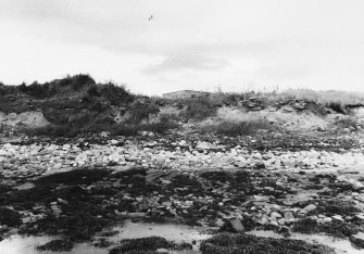 Panorama of coastal section, central portion  Dr R Lamb 1985