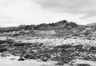 Panorama of coastal section, W portion Dr R Lamb