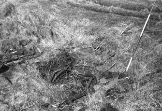 View of remains of winch at head of naust.