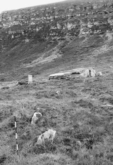 From S, showing isolated boulders which appear to be remains  of a sub peat dyke  R Lamb 1985