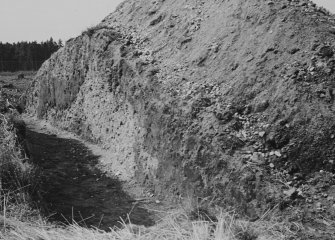 Excavation photograph (at NO 167 402): W section from N (as PT/5484)