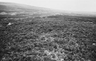 View to W along cairn R J Mercer