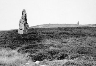 General view of the standing stones in heather moorland.