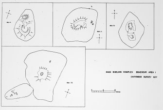 Main shieling complex plan Ink 1:100  (Mons.BRA 4,7i-iii)Area 1