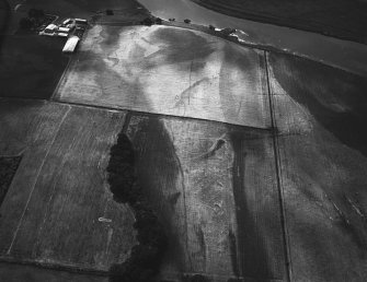 Whitmuirhaugh, Sprouston, cropmarks: oblique air photograph.