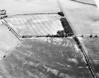 East Reston, fort, enclosure and possible pit-alignment: oblique air photograph of cropmarks.
D Harding 79/007/15A.
