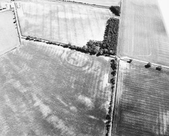 East Reston, fort, enclosure and possible pit-alignment: oblique air photograph of cropmarks.
D Harding 79/007/16A