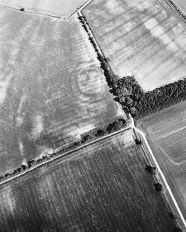 East Reston, fort, enclosure and possible pit-alignment: oblique air photograph of cropmarks.
D Harding 79/007/17A