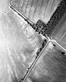 East Reston, fort, enclosure and possible pit-alignment: oblique air photograph of cropmarks.
D Harding 79/007/18A