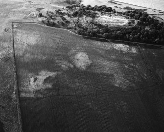 Kaeheughs, Barney Mains, fort, enclosure and pit-alignments: oblique air photograph of cropmarks.
