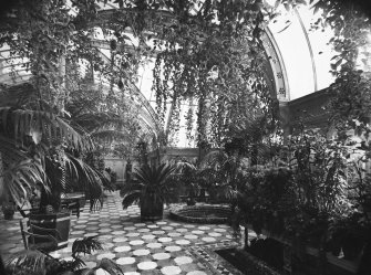 Copy of historic photograph showing interior view of conservatory.