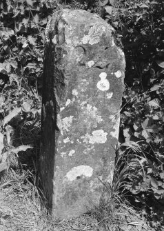 Milestone to west of aqueduct