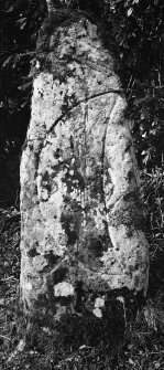 View of symbol stone.