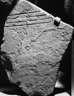 View of symbol stone fragment (no.4).