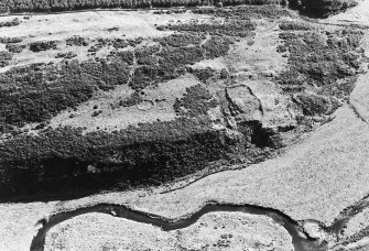 Braes of Minnonie, longhouse, enclosure, etc.: oblique air photograph.