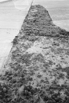 Midtown of Pitglassie, barrow: oblique air photograph.