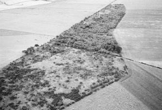 Midtown of Pitglassie, barrow: oblique air photograph.