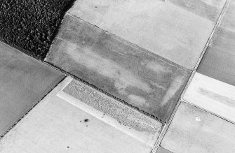 Dryburn, oblique air photograph of enclosure and cropmarks.