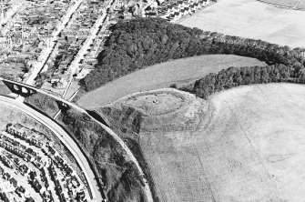 Castle Hill, Cullen: oblique air photograph.