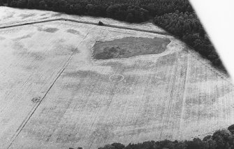 Berryley, oblique air photograph of cropmarks.