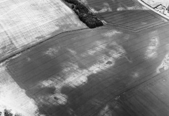 Oblique aerial view centred on the cropmarks of the ring-ditches, roundhouses and long barrow, taken from the N.