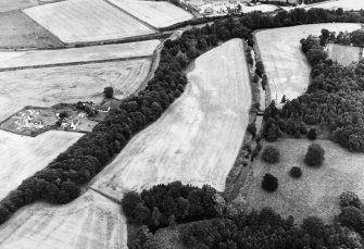 Oblique aerial view centred on the cropmarks of the enclosure, taken from the SW.