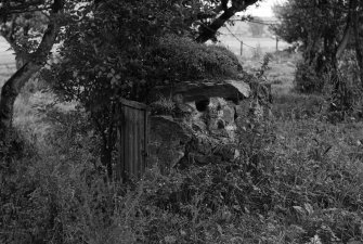 Possible Ice house, Cults Parish, Fife