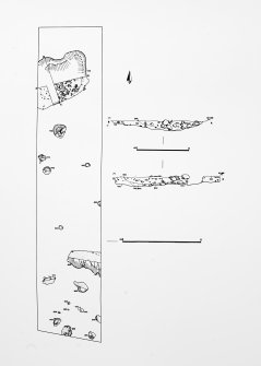 Castle of Wardhouse
Area 2: general plan with sections of features 202 and 247.
Illustration 7 in Yeoman 1998 (PSAS).