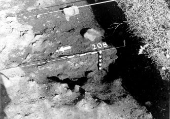 Castle of Wardhouse excavation archive
Frame 11: SW-facing half-section of small post-hole (225) in mid S part of Area 2. From W
Frame 12: Large, shallow post-hole (208) in mid S end of Area 2. From W