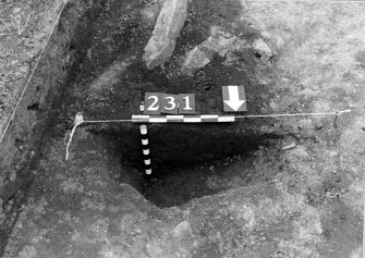 Castle of Wardhouse excavation archive
Frame 17: Area 2: East-facing half-section in W baulk of post-hole 239. From E.
Farme 18: Area 2: North-facing half-section of post-hole, 1m to NE of post-hole 204. From N.