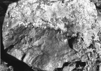 Excavation photograph : trench I - large boulder with peck mark.