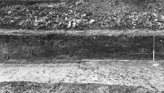 Trench 1, N side, Berm E of ditch.