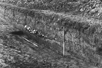Trench 1, N side, Rampart.