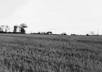 Excavation photograph : corner of field in area 7.