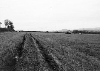 Excavation photograph : corner of field in area 7.