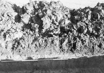 Excavation photograph : upper part of centre of section.