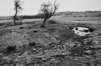 Henge centre
