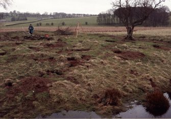 Photograph taken during Inspector's visit to establish condition of monument.
