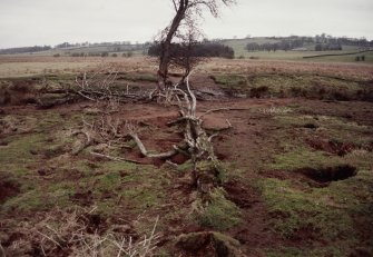 Photograph taken during Inspector's visit to establish condition of monument.