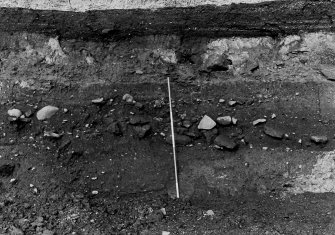 Excavation photograph : general shot of section number 2.