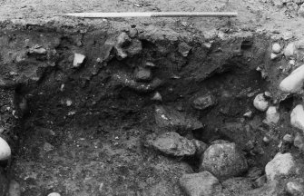 Excavation photograph : north-east facing section with 54.
