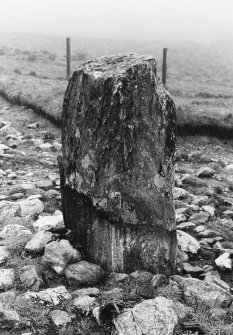 Northern standing stone